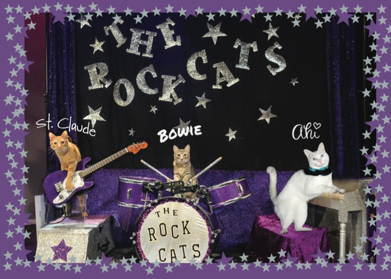 The Rock Cats Band Button/Magnet — Rock Cats Rescue Inc